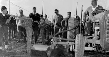 1967_J_Tassone_Rotary_Weeder