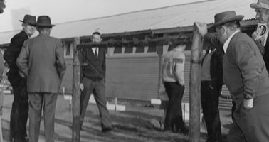 1964_Dept_Agriculture_Trellising_Display